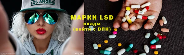 ECSTASY Богданович