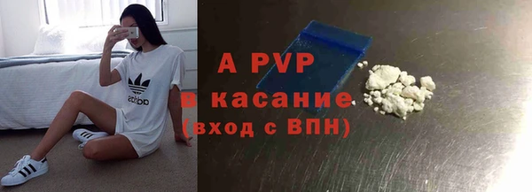 ECSTASY Богданович