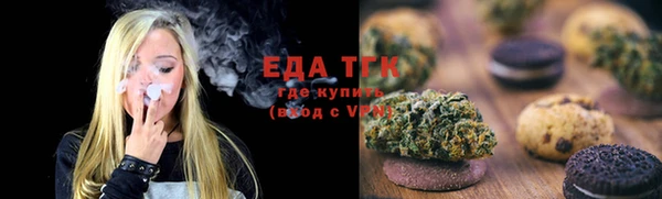 spice Богородицк