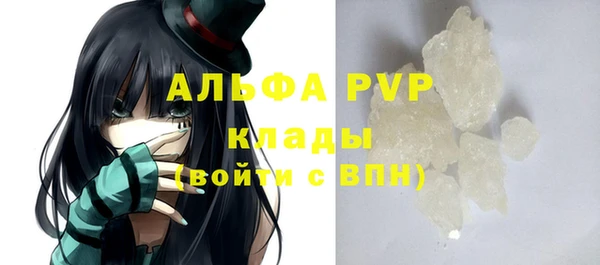 ECSTASY Богданович