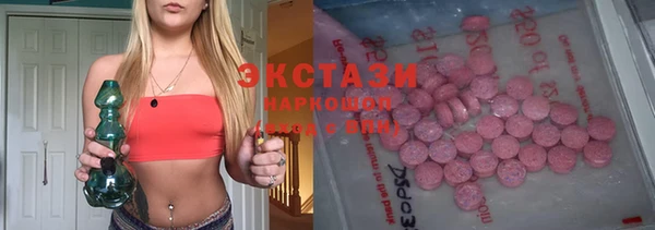 ECSTASY Богданович