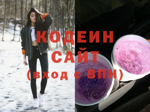 ECSTASY Богданович