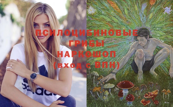герыч Бородино