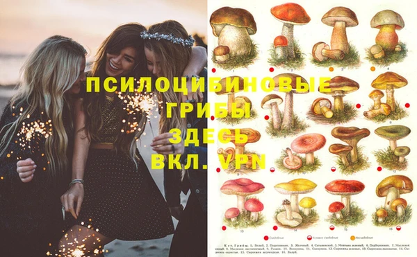 spice Богородицк