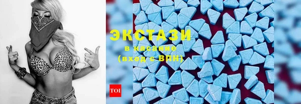 ECSTASY Богданович