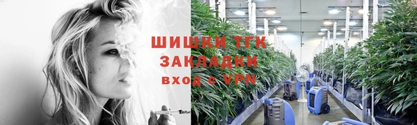 spice Богородицк